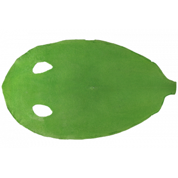 Cuir Galuchat poncé rond vert pomme