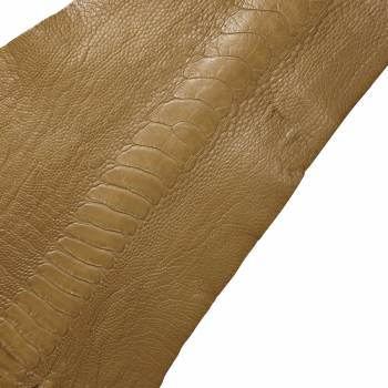 Patte d'autruche beige