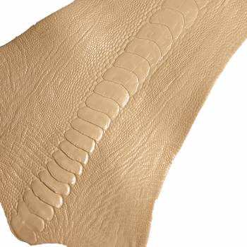 Patte d'autruche crème