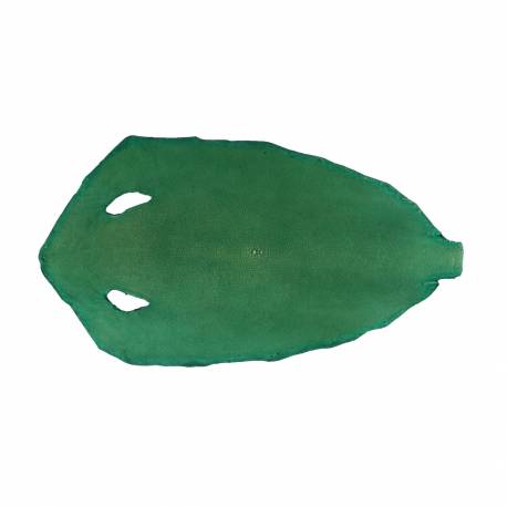 Galuchat poncé rond 8" vert