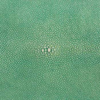 Galuchat poncé rond 8" vert