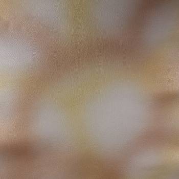 Chèvre fantaisie tie & dye