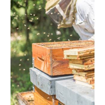 Cire d'abeille pour le travail du cuir