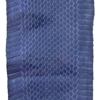Peau de serpent Elaphe bleu
